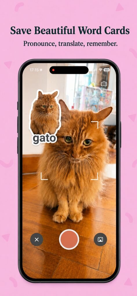 PipWords turning a photo of a cat into a cutout word sticker labelled gato